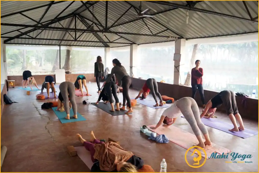 yoga teacher training dharamshala