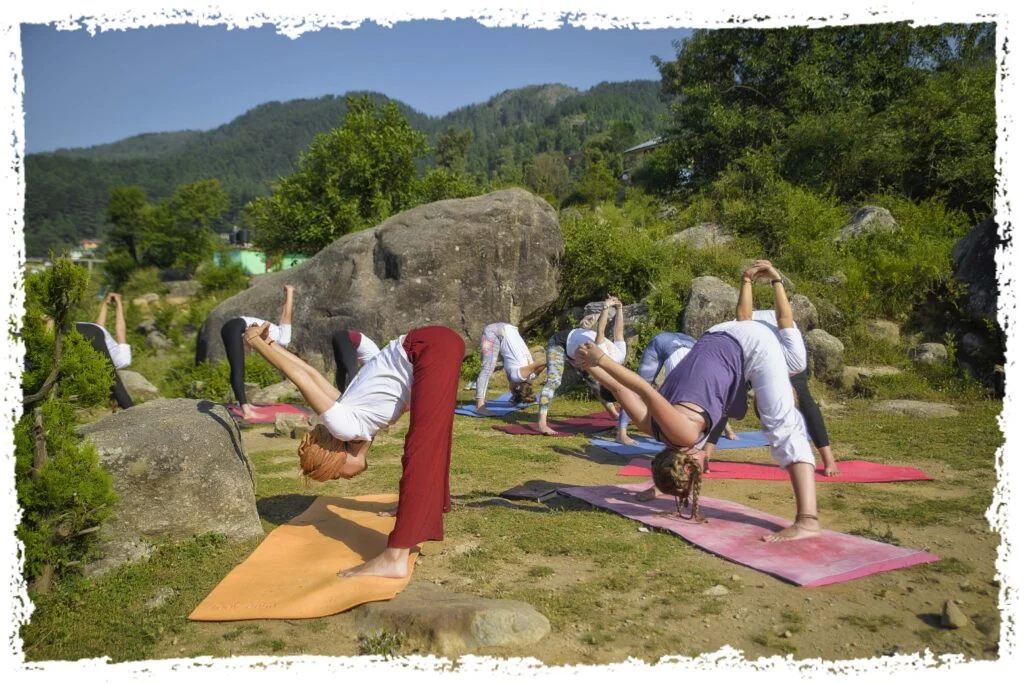 yin yoga teacher training in dharamshala