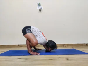 yoga teacher training in dharamshala