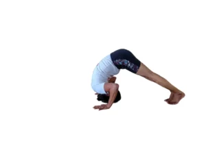 yoga teacher training in dharamshala