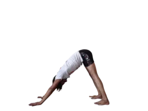 yoga teacher training in dharamshala