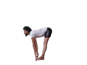yoga teacher training in dharamshala