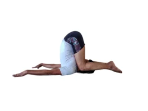 yoga teacher training in dharamshala