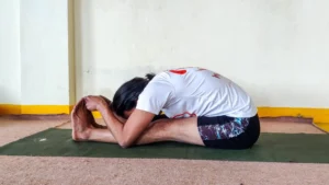 yoga teacher training in dharamshala