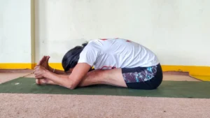 yoga teacher training in dharamshala