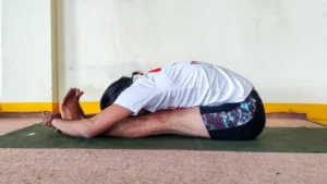 yoga teacher training in dharamshala