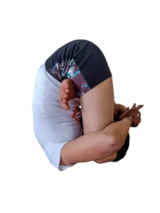 yoga teacher training in dharamshala