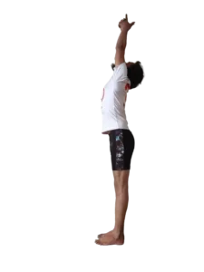 yoga teacher training in dharamshala