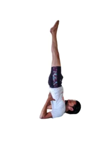 yoga teacher training in dharamshala