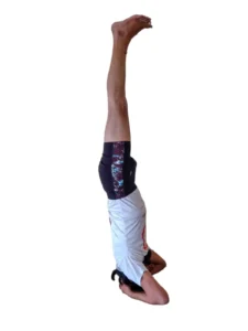 yoga teacher training in dharamshala