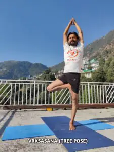 yoga teacher training dharamshala