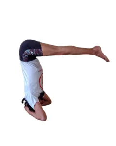 yoga teacher training in dharamshala