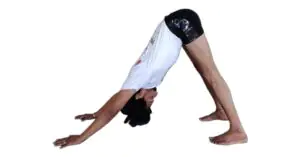 yoga teacher training in dharamshala