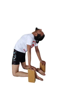 yoga teacher training in dharamshala