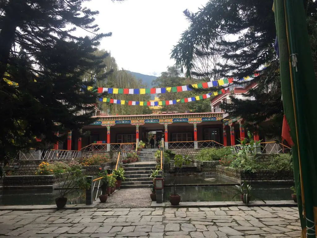 Yoga retreat in dharmashala