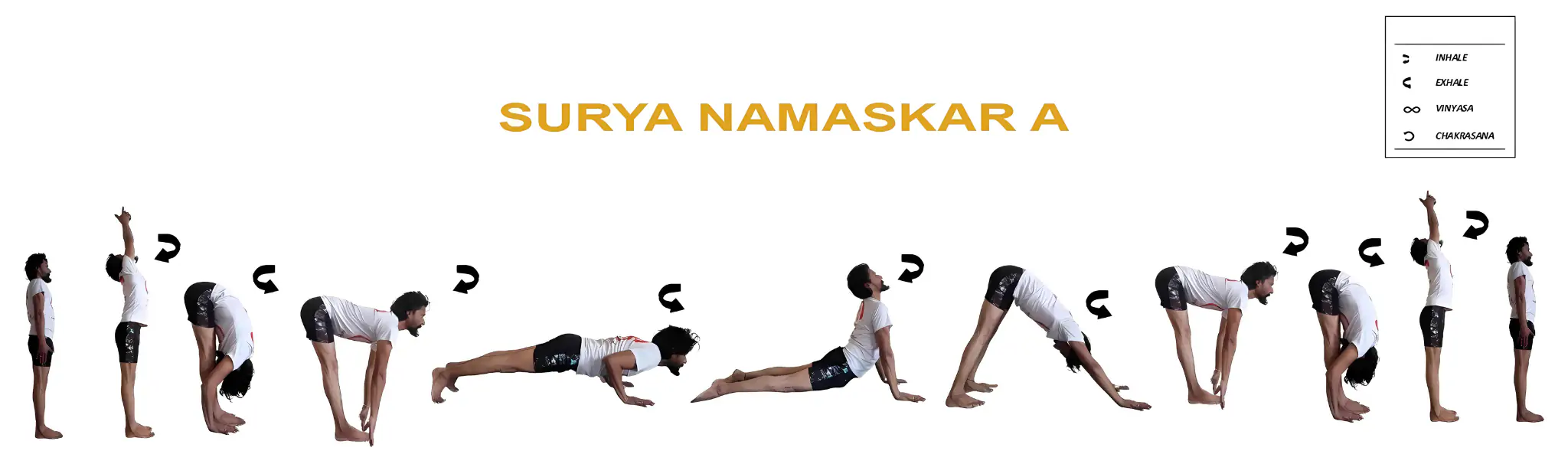 yoga teacher training in dharamshala