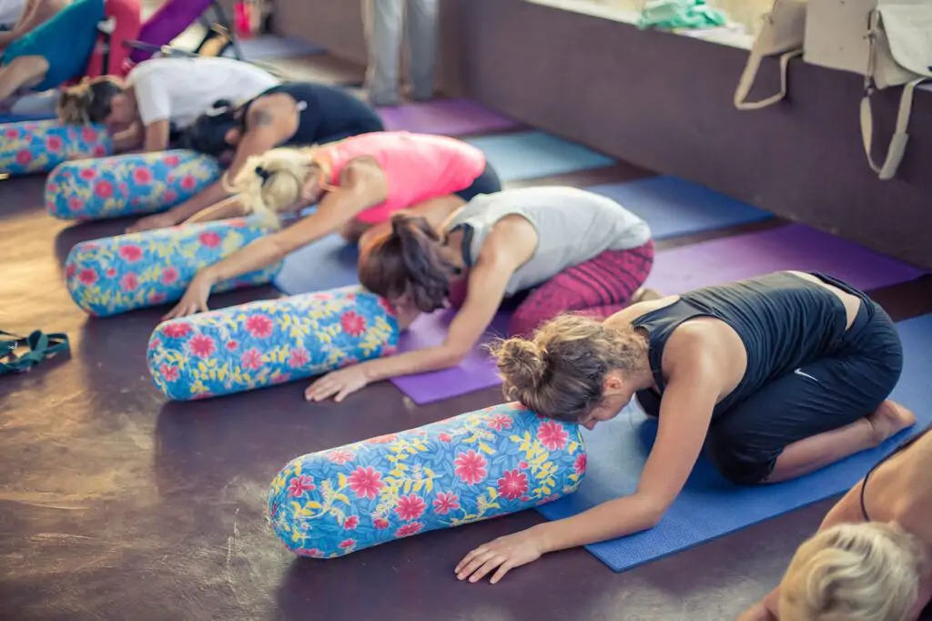 yoga teacher training in dharmshala